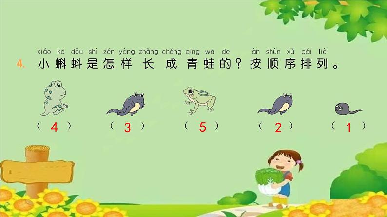 统编版语文二年级上册 1 小蝌蚪找妈妈 课件05