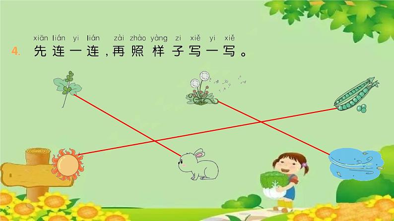 统编版语文二年级上册 3 植物妈妈有办法 课件第5页