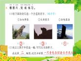 统编版语文二年级上册 9  黄山奇石 课件
