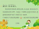 统编版语文二年级上册 17 难忘的泼水节 课件