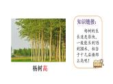 2023秋统编版语文二年级上册第二单元 第2课 树之歌 第二课时【课件】
