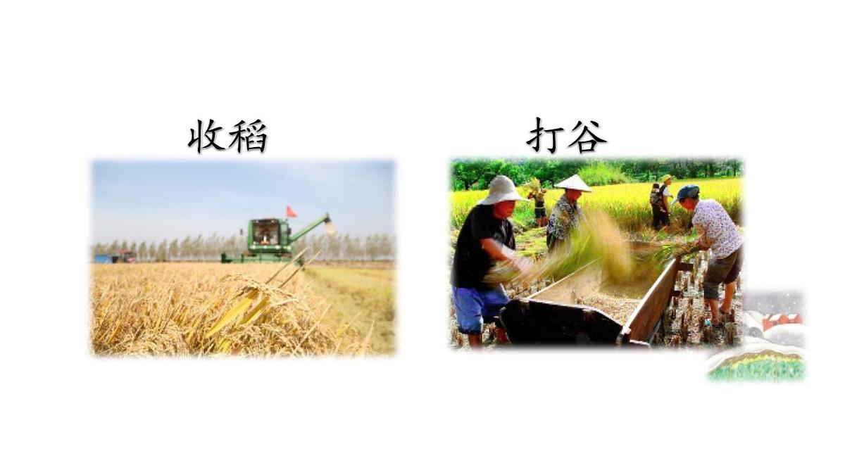 2023秋统编版语文二年级上册第二单元 第4课 田家四季歌 第二课时【课件】第5页