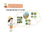 2023秋统编版语文二年级上册第二单元复习卡【课件】