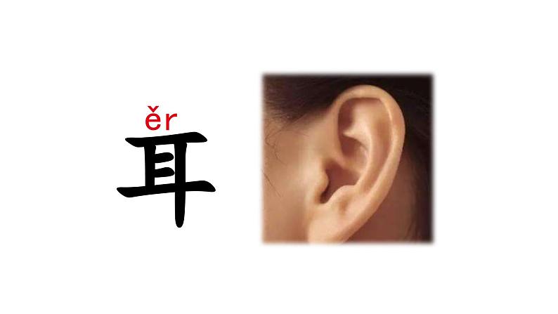 2023秋统编版语文一年级上册第一单元  第3课 口耳目【课件】第7页