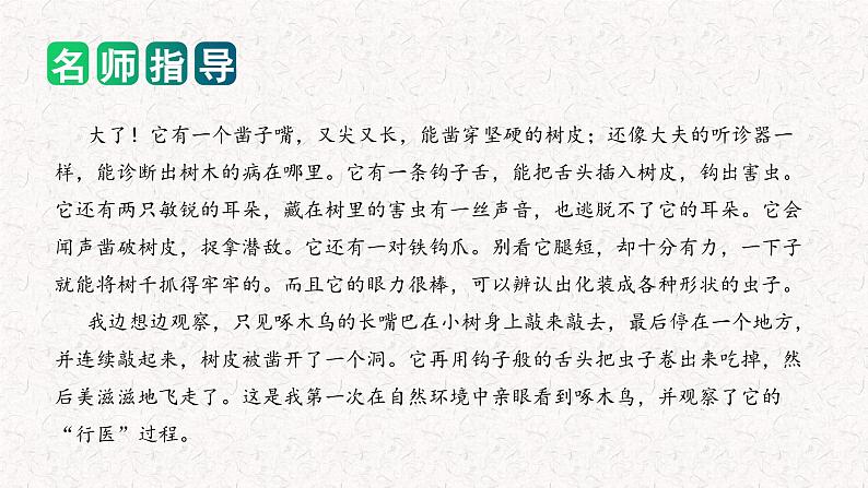 专题04 如何写好 状物作文（课件）2024年小升初语文复习即暑假衔接专项讲练测（统编版）05