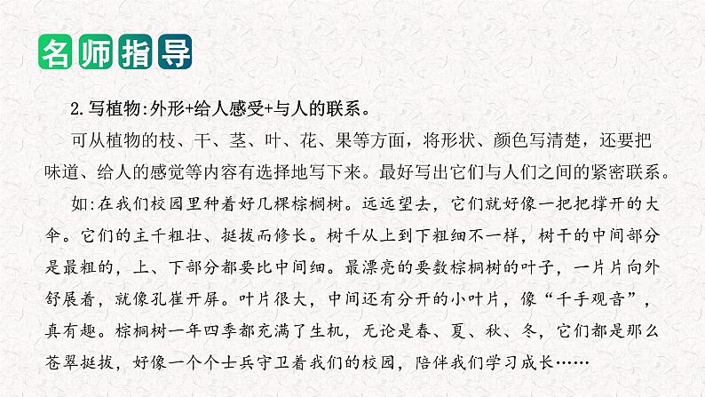 专题04 如何写好 状物作文（课件）2024年小升初语文复习即暑假衔接专项讲练测（统编版）06