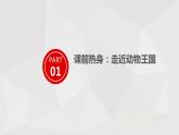 1 第一單元  口語(yǔ)交際  有趣的動(dòng)物（課件）B案
