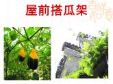 人教版语文四年级下册乡下人家 优质课课件