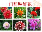 人教版语文四年级下册乡下人家 优质课课件