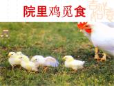 人教版语文四年级下册乡下人家 优质课课件