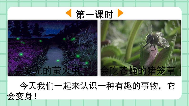 部编版小学语文二年级上册第一单元2 我是什么课件第2页