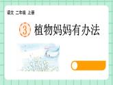 部编版小学语文二年级上册第一单元3 植物妈妈有办法课件