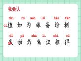 部编版小学语文二年级上册第一单元3 植物妈妈有办法课件