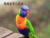 部編版小學(xué)語(yǔ)文二年級(jí)上冊(cè) 第一單元口語(yǔ)交際 《有趣的動(dòng)物》課件