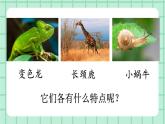 部編版小學(xué)語(yǔ)文二年級(jí)上冊(cè) 第一單元口語(yǔ)交際 《有趣的動(dòng)物》課件