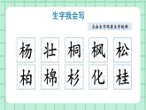 部编版小学语文二年级上册第二单元 识字2  树之歌 课件