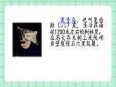 部编版小学语文二年级上册第五单元13  寒号鸟课件PPT