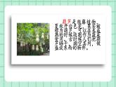 部編版小學(xué)語(yǔ)文二年級(jí)上冊(cè)第五單元 14  我要的是葫蘆課件PPT