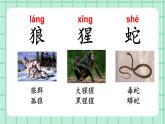 部编版小学语文二年级上册第八单元语文园地八课件PPT