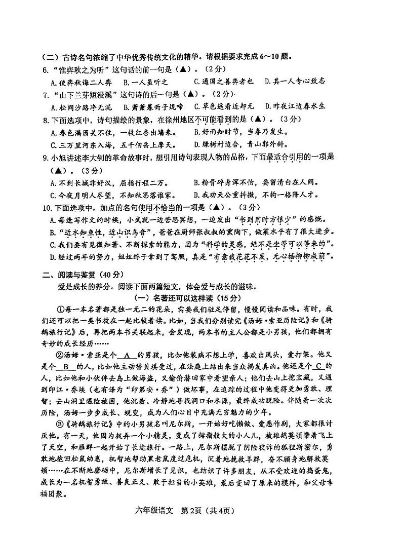江苏省徐州市沛县2023-2024学年六年级下学期6月期末语文试题第2页