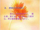 语文三年级下西师大版10《 花开了就感激》课件2