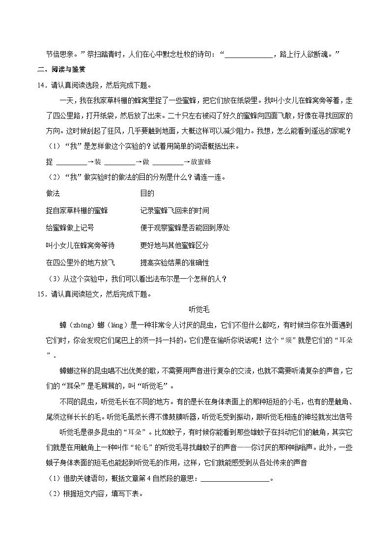 2023-2024学年广东省深圳市龙岗区三年级（下）期中语文试卷03