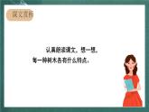 人教部编版语文二上识字2《树之歌》 第2课时 课件+教案