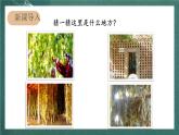 人教部编版语文二上11《葡萄沟》 第1课时 课件+教案