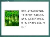 人教部編版語(yǔ)文二上14《我要的是葫蘆》 第2課時(shí) 課件+教案