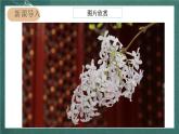 人教部编版语文六年级上册2.《丁香结》课件+素材
