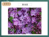 人教部编版语文六年级上册4.《花之歌》课件+素材