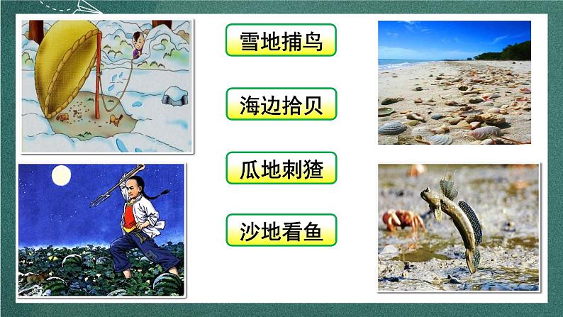 人教部编版语文六年级上册25.《少年闰土》（课件）05