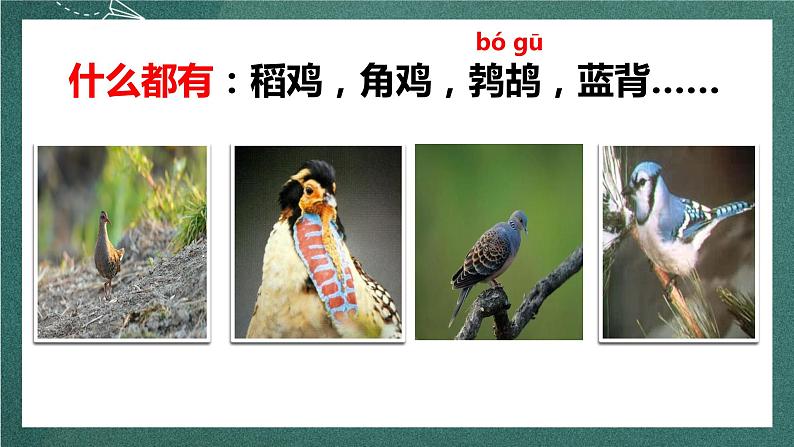 人教部编版语文六年级上册25.《少年闰土》（课件）07