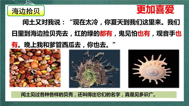 人教部编版语文六年级上册25.《少年闰土》（课件）08