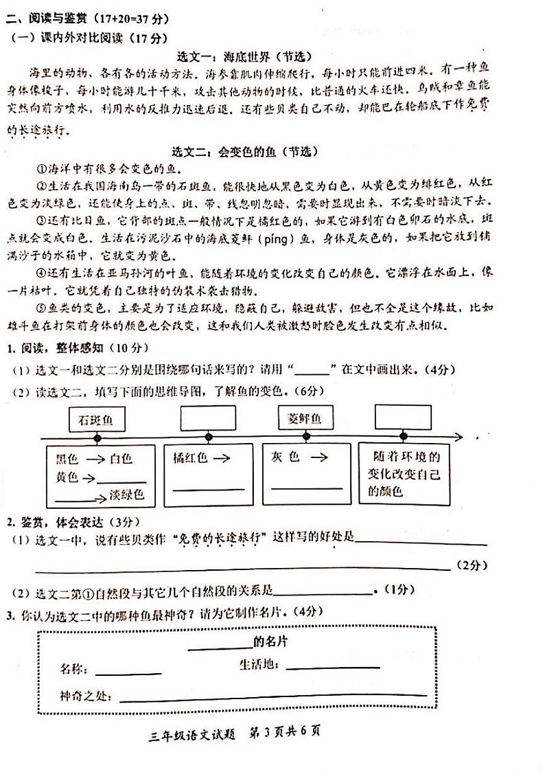 山东省枣庄市山亭区2023-2024学年三年级下学期6月期末语文试题第3页