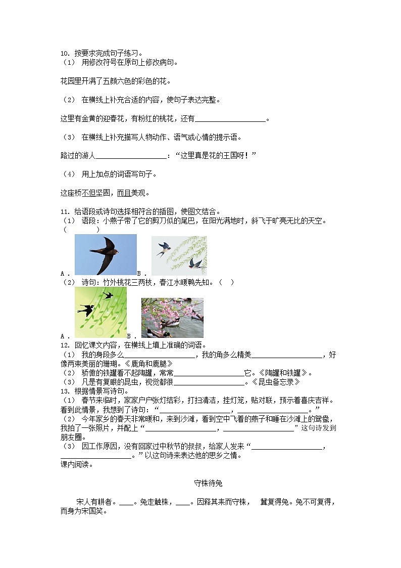 [语文]四川省广元市苍溪县2023-2024学年三年级下学期期中考试试卷02