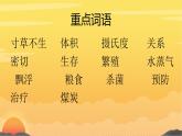 部编版小学语文五年级上册《太阳》课件