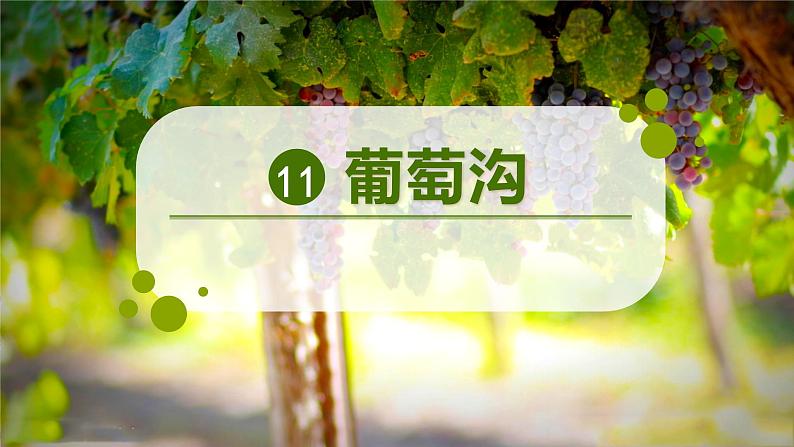 11《葡萄沟》教学课件2023-2024学年统编版语文二年级上册第1页