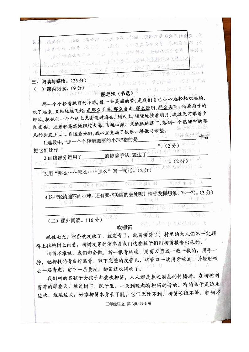 [语文][期末]河南省驻马店市西平县2023～2024学年三年级下学期6月期末语文试题(无答案)第3页