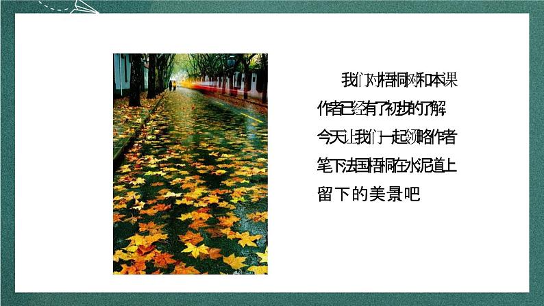 人教部编版语文三上5《铺满金色巴掌的水泥道》 第2课时 课件+教案04