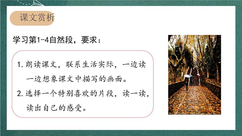 人教部编版语文三上5《铺满金色巴掌的水泥道》 第2课时 课件+教案05