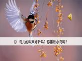 人教部編版語(yǔ)文三上23《父親、樹(shù)林和鳥(niǎo)》 第1課時(shí)  課件+教案+音頻素材