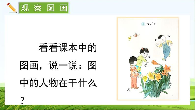 【核心素养】部编版小学语文一年级上册  识字3.口耳目手足-课件+教案+同步练习（含教学反思）03