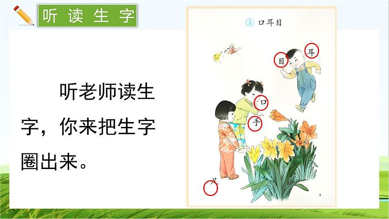 【核心素养】部编版小学语文一年级上册  识字3.口耳目手足-课件+教案+同步练习（含教学反思）05