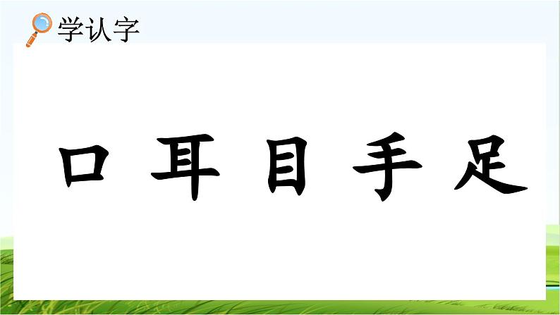 【核心素养】部编版小学语文一年级上册  识字3.口耳目手足-课件+教案+同步练习（含教学反思）06