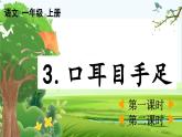 【核心素养】部编版小学语文一年级上册  识字3.口耳目手足-课件+教案+同步练习（含教学反思）