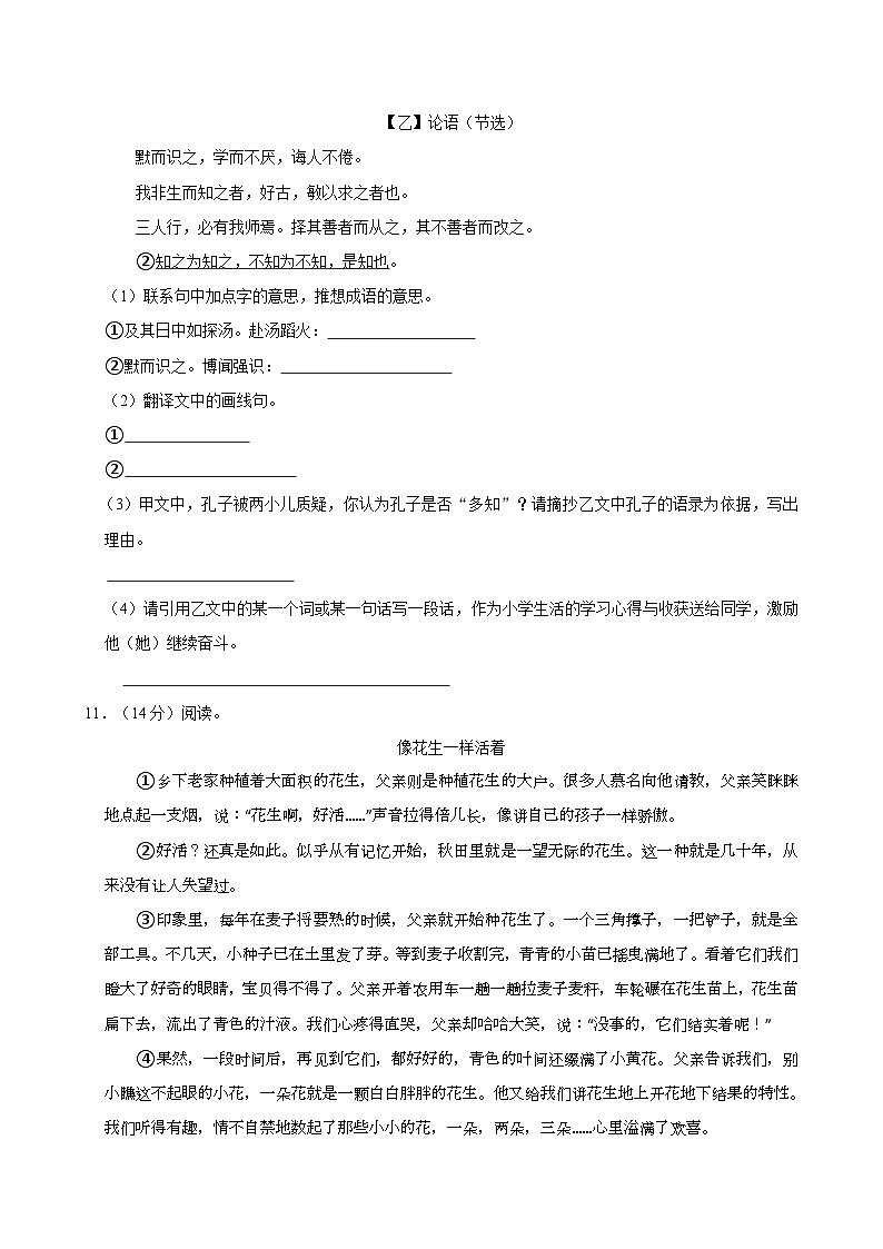 2024年河南省南阳市淅川县小升初语文试卷03