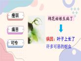 统编版一年级语文下册 课文课件（六） 18 棉花姑娘