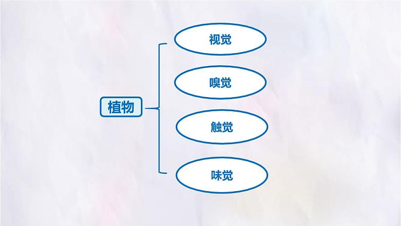 部编版三上语文第5单元-我们眼中的缤纷世界（课件）06