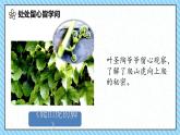 部编版语文四上第三单元 写观察日记（课件）A案